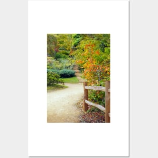 autumn leaves along a pathway Posters and Art